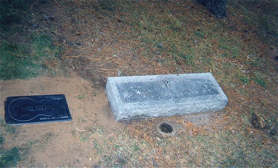 click to enlarge